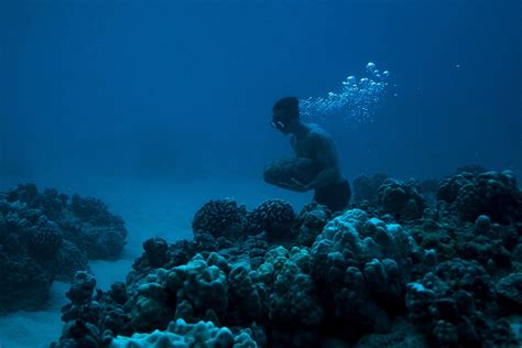 Dying Coral Reefs Inspired Artist Sean Yoros Underwater Murals