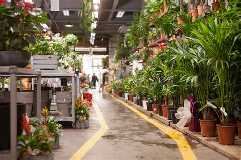 Bon Plan Deux Grandes Ventes De Plantes Petits Prix Organis Es Lille