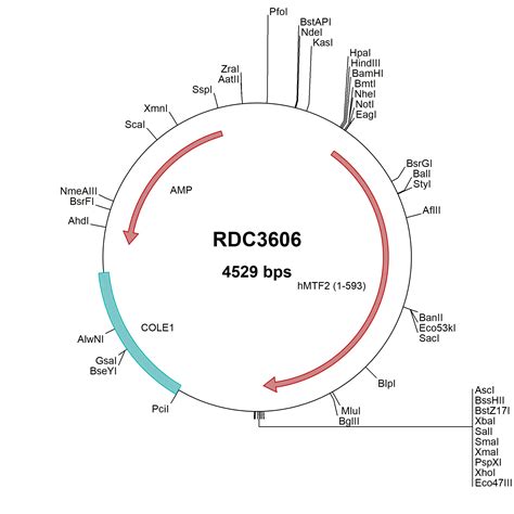 Mtf Products R D Systems