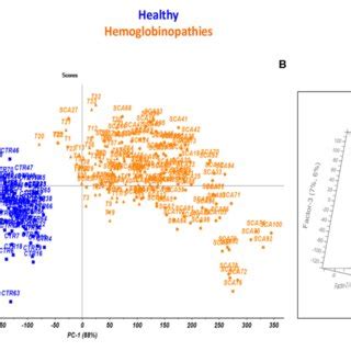 Scores Plot Performed By Pca A And Pls Da Model B On The Tg