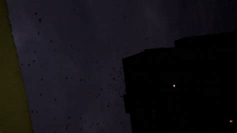 кам бэк - YouTube