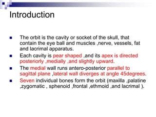 Anatomy of orbital cavity | PPT