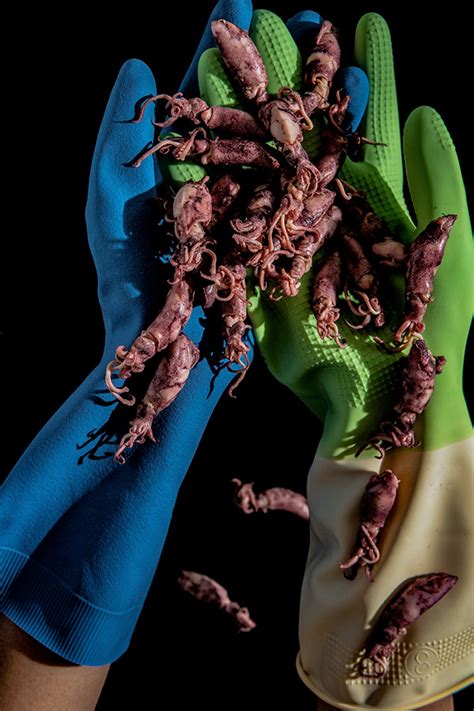 FOOD PORN TAIWAN Food Photography On Behance