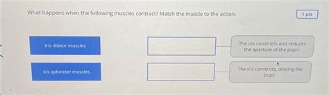 Solved What happens when the following muscles contract? | Chegg.com