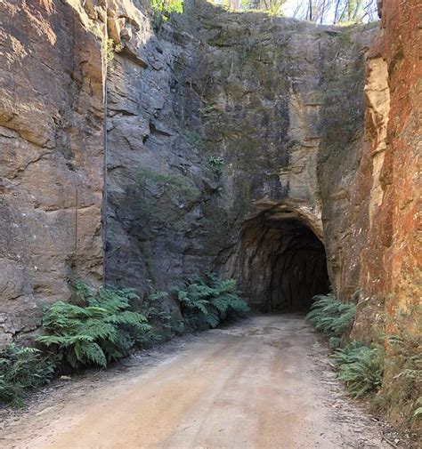 Glow Worm Tunnel Walking Track In Wollemi Np