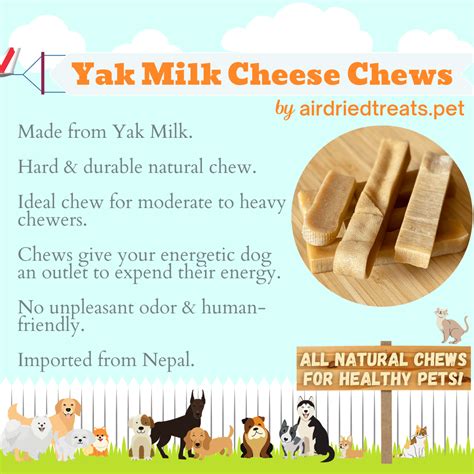 Yak Milk Cheese Chews - airdriedtreats.pet