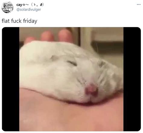 Flat Fuck Friday Image Gallery Know Your Meme
