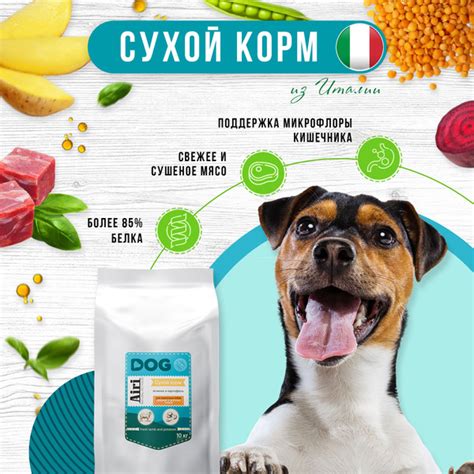 Корм сухой 10кг беззерновой холистик AiRi fresh lamb and potatoes с ...