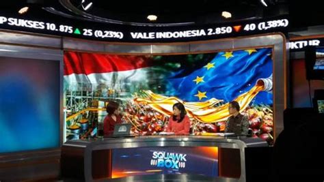 Direktur Pengamanan Perdagangan Pada Program Squawk Box Cnbc Indonesia