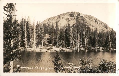 Tamarack Lodge, Twin Lakes Mammoth Lakes, CA Postcard