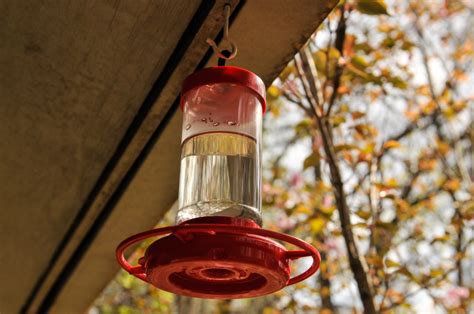 How To Fill And Hang A Hummingbird Feeder