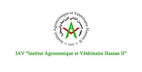 Iav Logo LogoDix