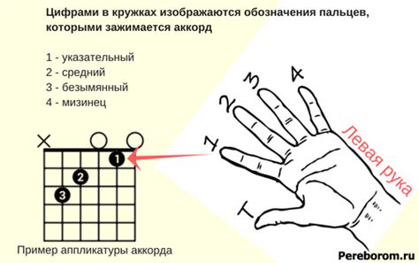 Аккорд D на гитаре. Аппликатуры всех вариантов аккорда D на гитаре