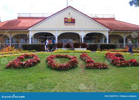 Dole Pineapple Plantation editorial stock photo. Image of plantation ...