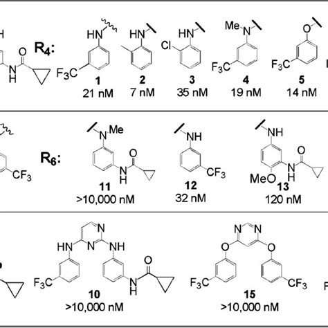 Egfr Enzyme Ic50 Values For Lead Compound 1 And Its Analogues A