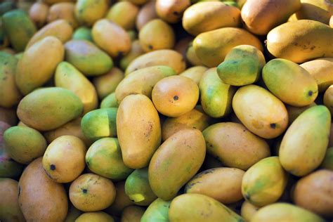 Penalty To Be Imposed If Mangoes Found Carbide Ripened