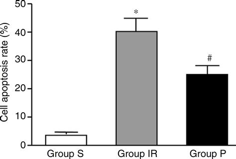 Scielo Brasil Effects Of Propofol Pretreatment On Myocardial Cell