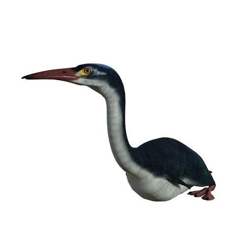 hesperornis pájaro prehistórico aislado 19045255 PNG