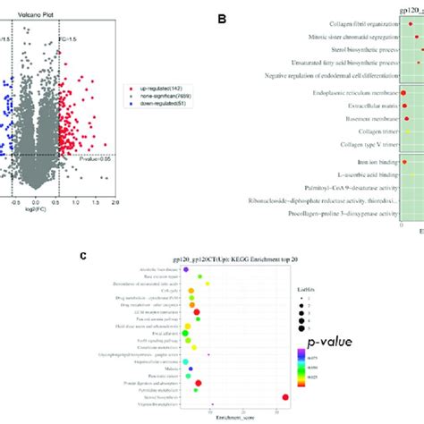 Volcano Plot Of Deg Go Functional Analysis Of Deg And Kegg Pathway