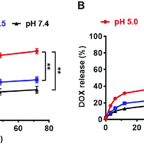 Cumulative Release Of DOX From DOX Loaded Microparticles In Vitro