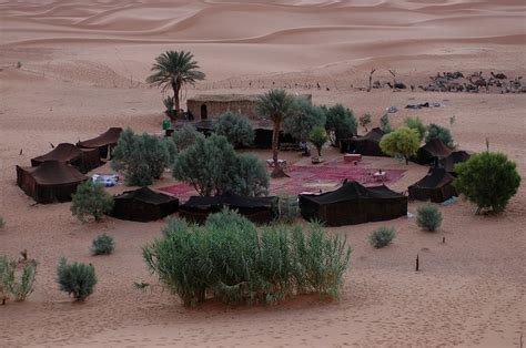 A Real Bedouin Camp Bedouin Tent Desert Resort Desert Life