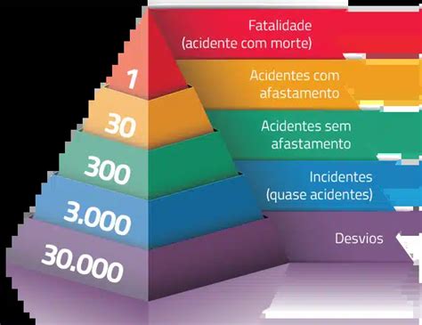 Pirâmide De Bird O Que é Qual A Sua Importância