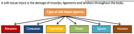 Explain Any Two Types Of Soft Tissue Injuries With Help Of Examples