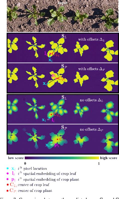 Figure 7 From Supplement For In Field Phenotyping Based On Crop Leaf