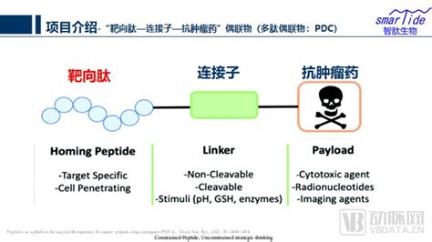 智肽生物：创新多肽递药系统，pdc技术助力肿瘤化药精准靶向财富号东方财富网