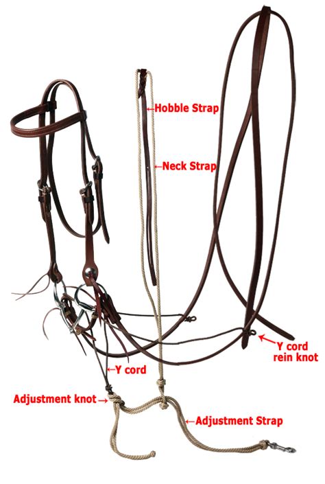 German Martingale with Split Reins - Dennis Moreland Tack