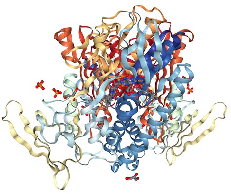 GSR Glutathione Reductase Protein Overview Sino Biological