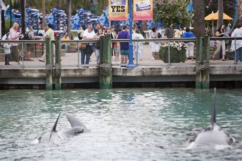 I trained killer whales at SeaWorld for 12 years. Here’s why I quit. - Vox