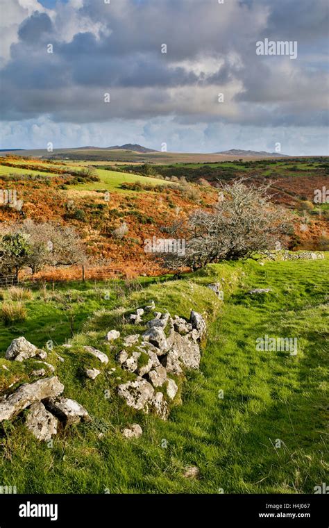 Devil S Leap Brown Willy Distant Bodmin Moor Cornwall Uk Stock