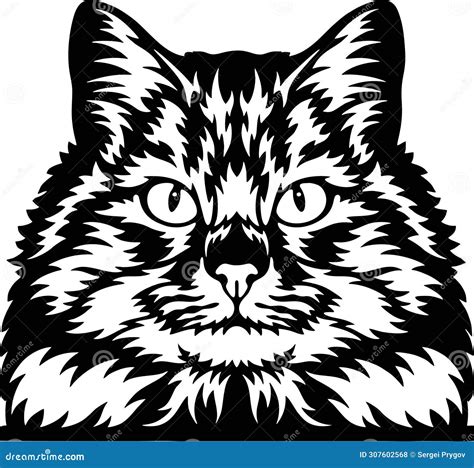 Siberian Cat Vector Peeking Cats Cats Breed Pet Vector Portrait