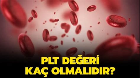 PLT Düşüklüğü Belirtileri Nedenleri ve Tedavi Yöntemleri