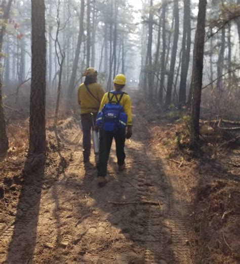 New Jersey Forest Fire Service Enters Their 84th Year Of Improving Forests With Prescribed Fire