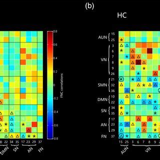 A Matrix Shows Differences Of Internetwork Functional Connectivity