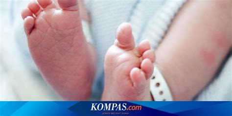 Kenali Apa Itu Hipospadia Kelainan Penis Bawaan Lahir