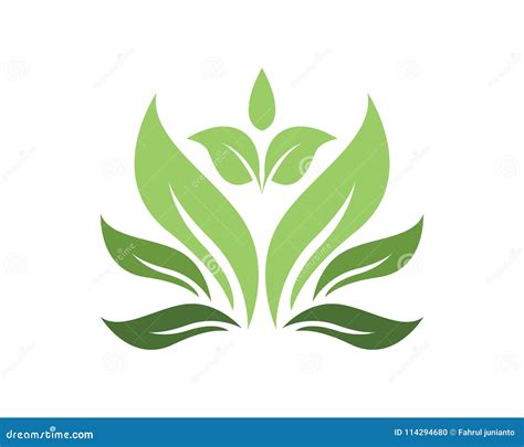 Conceito De Projeto Do Logotipo Da Folha Da Natureza Ilustra O Do