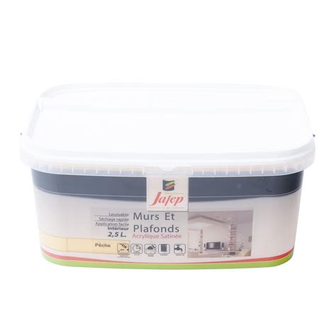 Peinture Mur Et Plafond Satin E P Che L Jafep Leroy Merlin