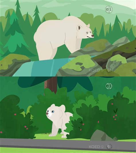 Wild Kratts Spirit Bear by Mdwyer5 on DeviantArt