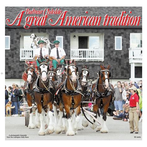 (PDF) Budweiser Clydesdales - DOKUMEN.TIPS