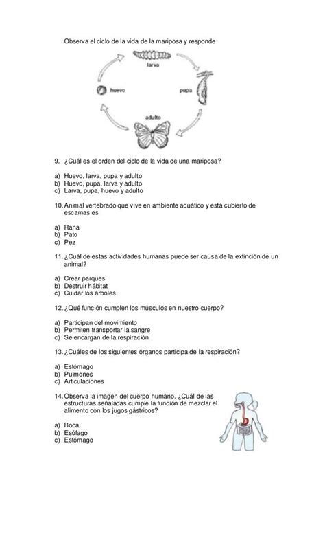 2°prueba De Ciencias Naturales Monse Bilingual Science Uhh Quick Geometry Activities Body