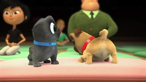 Puppy Dog Pals Season 5 Episode 13 – Sumo Pups / The Search for the Golden Ball | Watch cartoons ...