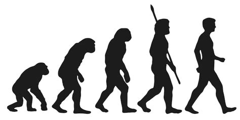 Premium Vector Darwin S Evolution Of The Human Silhouettes With The