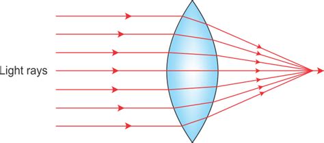 Diagrammatically show the converging and diverging lens. - vsmqzk4ee