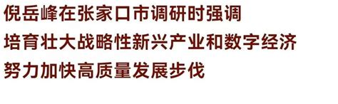 倪岳峰在张家口市调研澎湃号·政务澎湃新闻 The Paper