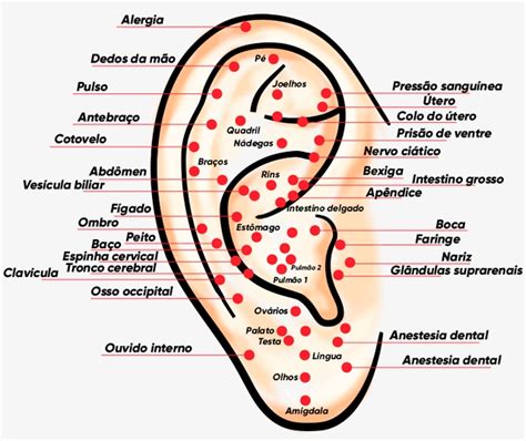 Acupuntura Dra Sueli Marques