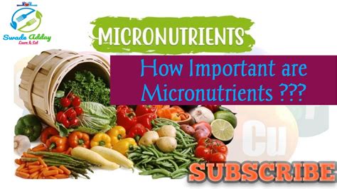 How Important Are Micronutrients Are You Getting Enough