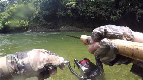 Pesca Mojarras Y Sabaletas Antioquia Colombia YouTube